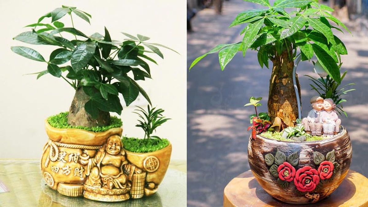 Top 10 món quà tặng sếp ngày doanh nhân Việt Nam cao cấp và ý nghĩa 29 Quà tặng sếp ngày doanh nhân phong thủy